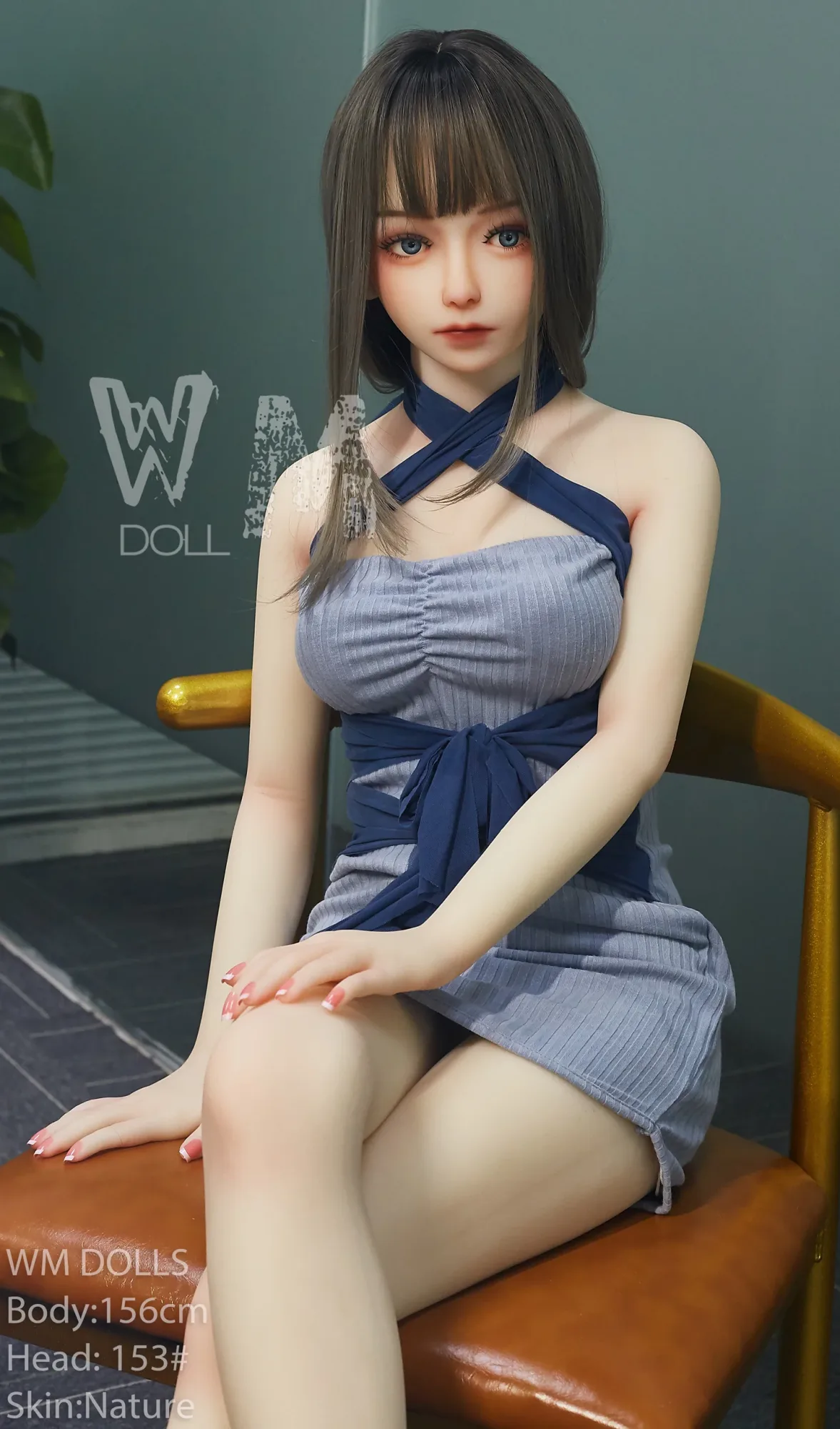 WM 156cm C - Trixy view 5
