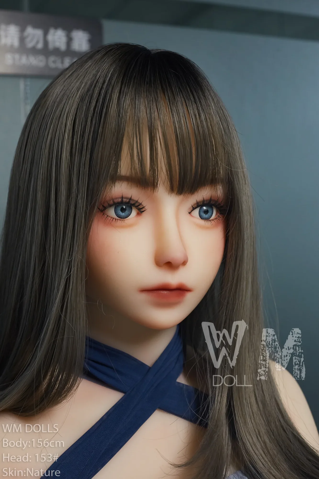 WM 156cm C - Trixy view 4