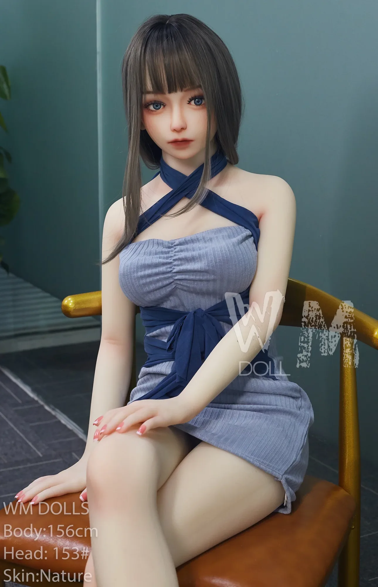 WM 156cm C - Trixy view 2