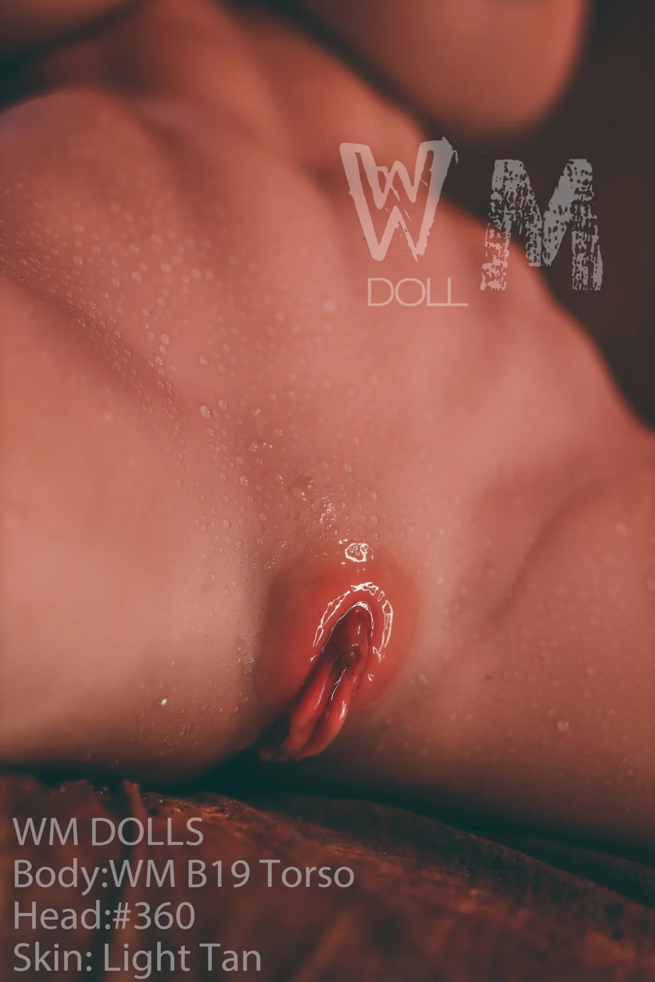 WM B19 Torso - Linda view 8
